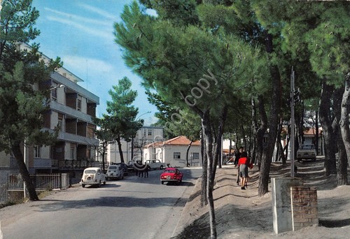 Cartolina penne pineta - cartolina,